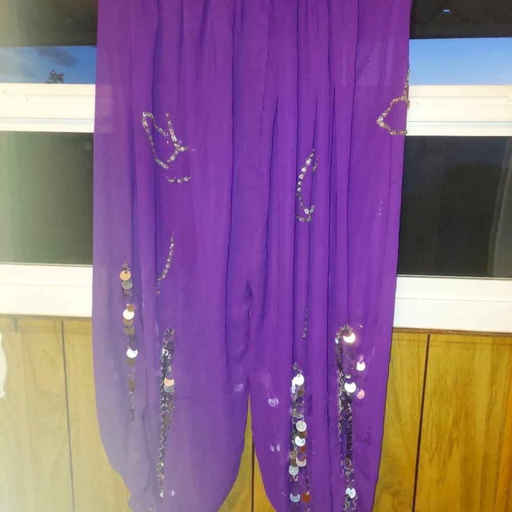 Belly dancing pants